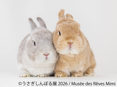 展示作品:Musee des Reves Mimi