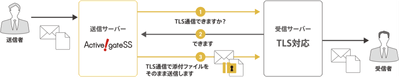 TLS確認機能