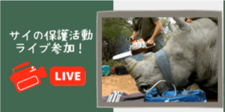 サイの角切り活動にライブ参加! 支援金額:10,000円