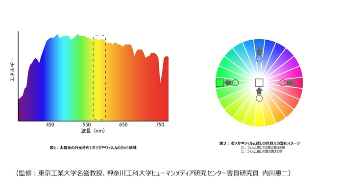 なぜポジカ(TM)フィルムを使うと世界が美しく見えるのか?