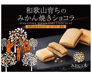 販売個数100万個突破！和歌山みかん使用の溶けないチョコレート 　「和歌山育ちのみかん焼きショコラ(みかんの木)」