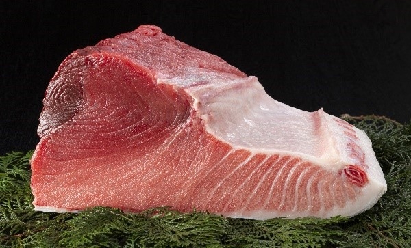 クロマグロ 画像