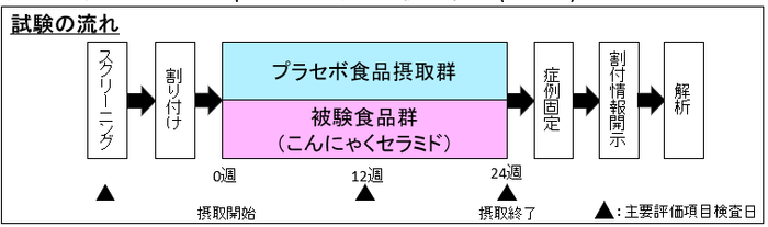 図1　ヒト介入試験の概要