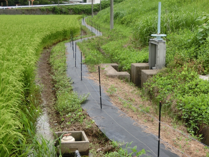 圃場での使用事例