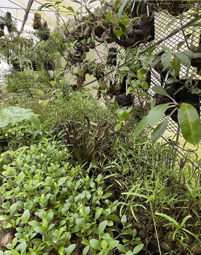 現在の農場の様子