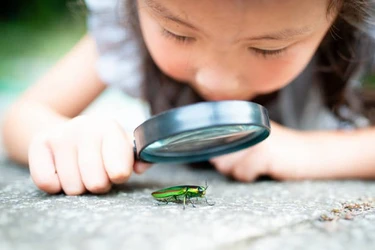 「触っちゃダメ！」が子どもの好奇心を奪う？　親の何気ない一言が「苦手意識」をつくる理由
