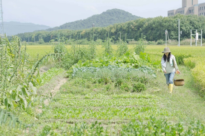 畑での作業風景