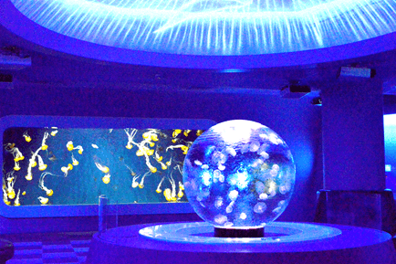 クラゲのクリスタルドーム