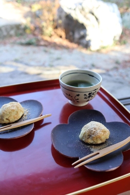 低座の暮らし