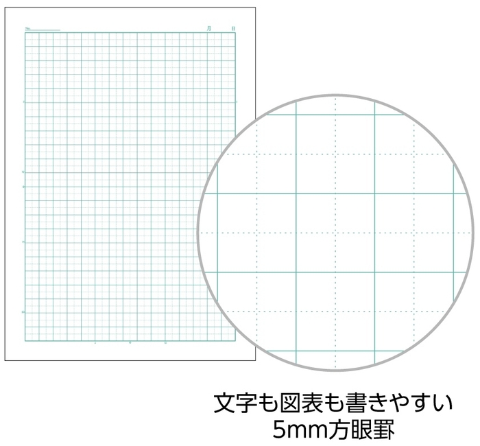 5mm方眼罫(10mm実線入り)詳細