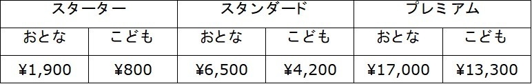 アップグレード価格