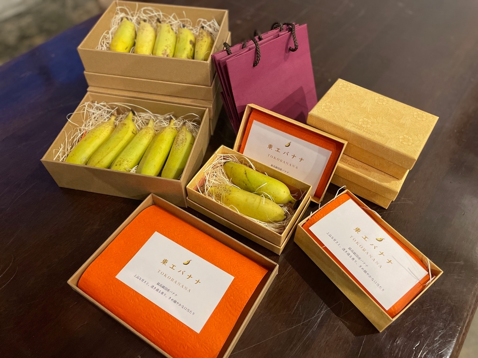 昨年収穫したバナナ