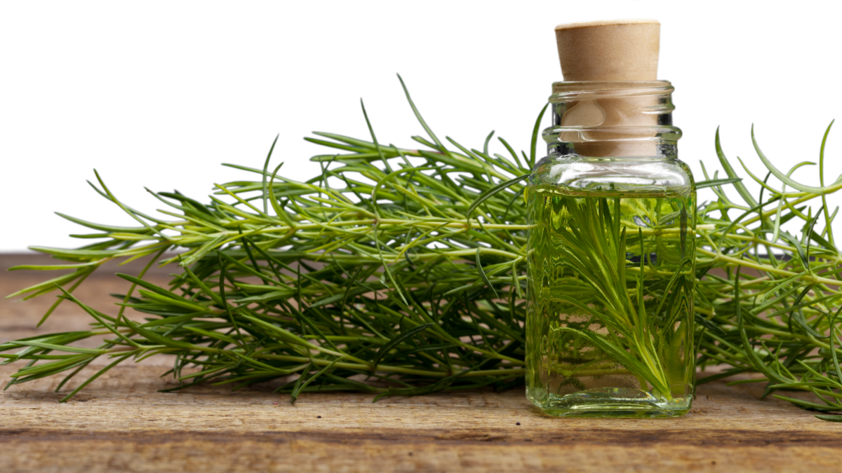 CBD栄養補助食品の市場規模は2028年までに198.5億米ドルに達する見込み