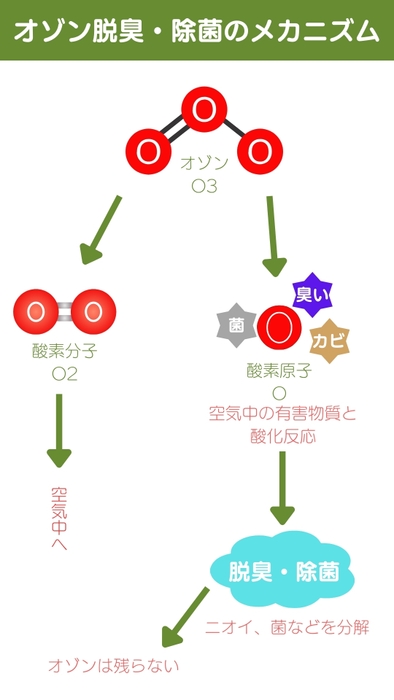 オゾンメカニズム