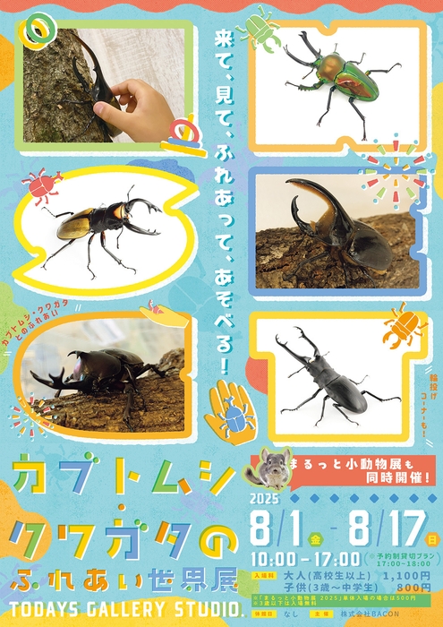 カブトムシ・クワガタのふれあい世界展 キービジュアル