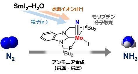 次世代型アンモニア合成法の触媒機構を解明
