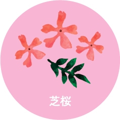 シール(芝桜)