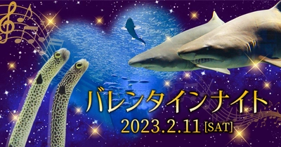 アクアワールド・大洗で “癒しとときめきがいっぱい”の特別な夜を過ごそう　 「バレンタインナイト」2月11日(土・祝)開催 〈 https://www.aquaworld-oarai.com/2023/01/12/vd2023 〉