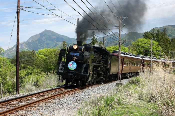 SLこどもの日号 イメージ