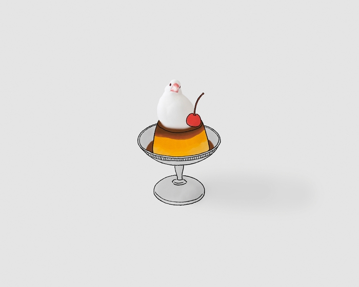 プリン文鳥