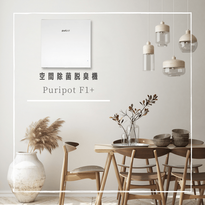 『Puripot F1+』イメージ2
