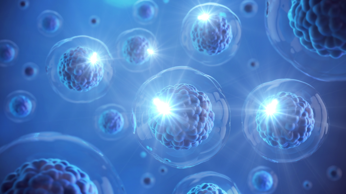 一次電池の市場規模は2028年までに19.5億米ドルに達する見込み