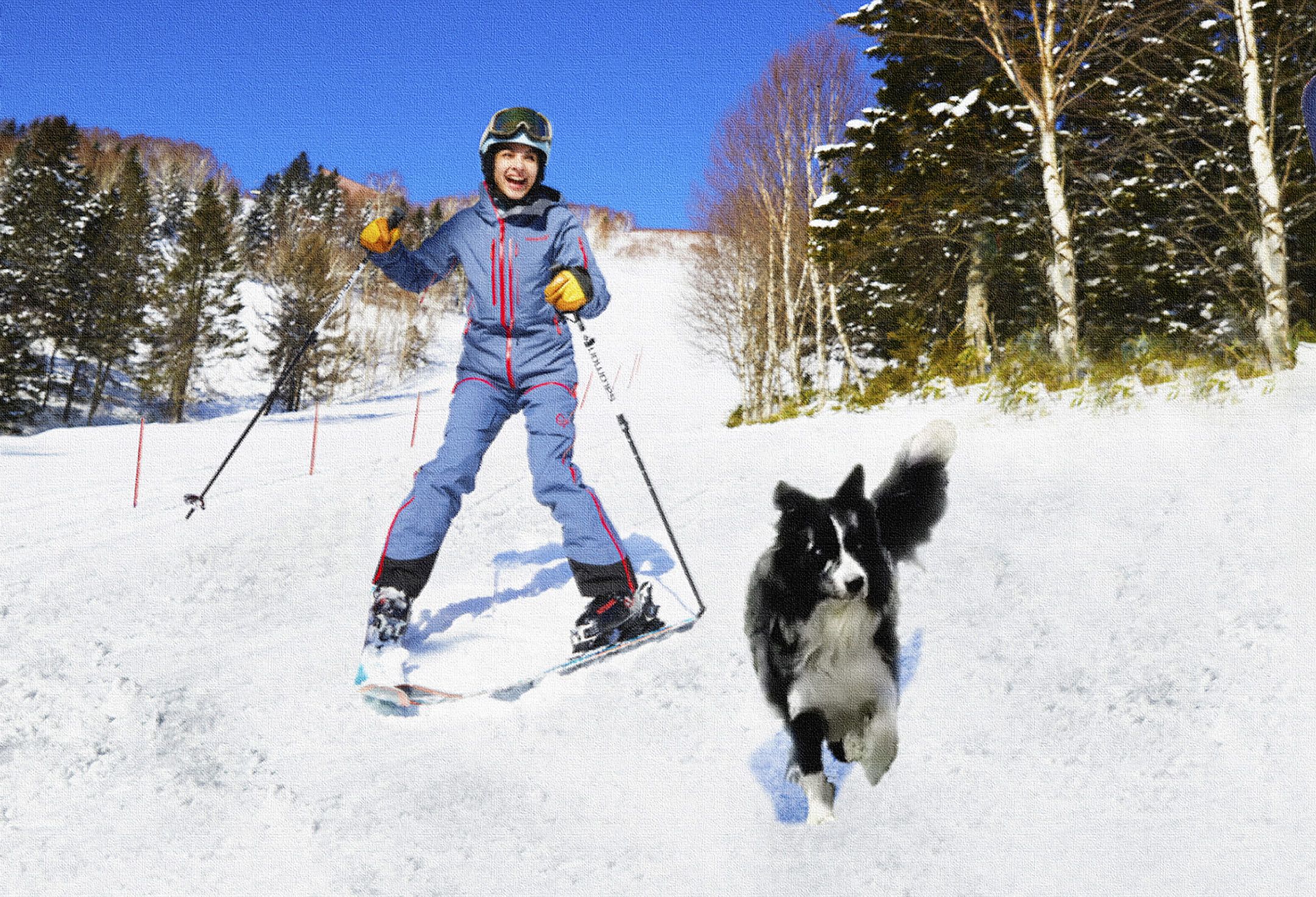 星野リゾート トマム 北海道で愛犬と一緒に雪で遊び、リフレッシュする旅を提案 愛犬と滑走を楽しめる「わんわんゲレンデ」が誕生 利用開始日:2020年12月1日