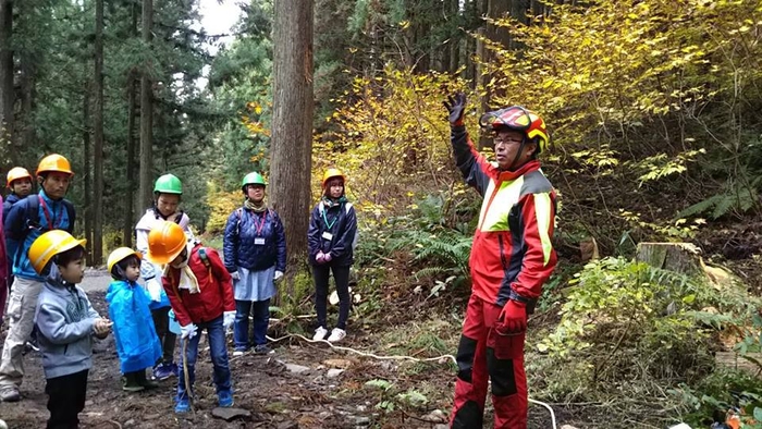 小森氏林業への取り組み写真