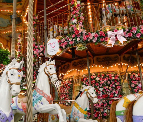 「ローズメリーゴーラウンド」イメージ