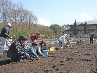 “富士山”の麓で高原野菜作りにチャレンジ！「家庭菜園」オーナー募集！ 〜JA鳴沢村共同企画・全100区画を募集致します〜