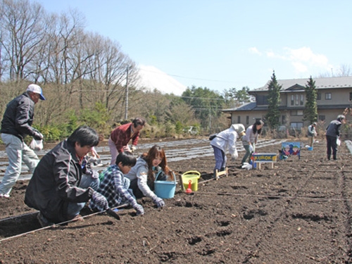 富士山の麓で収穫体験