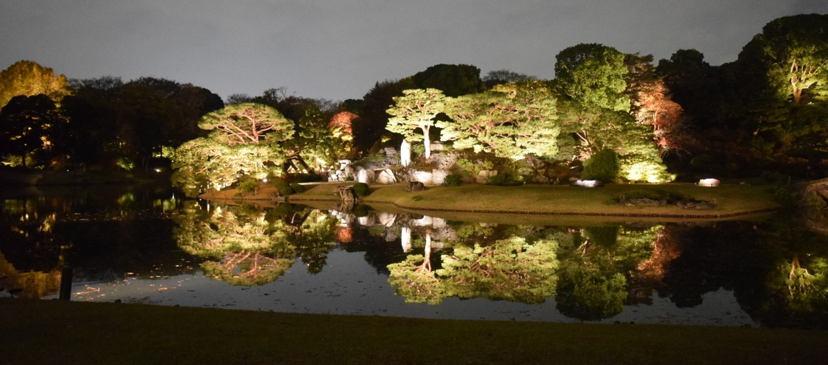 【11/22~12/3開催】庭紅葉の六義園 夜間特別観賞
