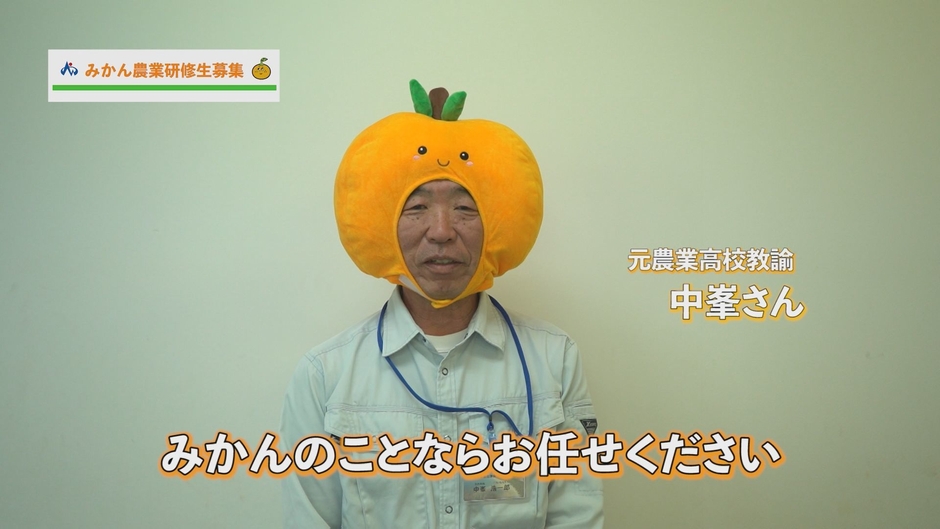 みかん農業研修生募集