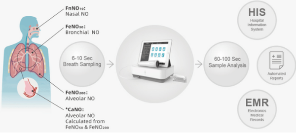 出典：二次情報およびYHResearch,2025