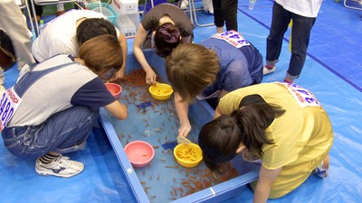 (C)2014日本ケーブルテレビ連盟「全国ふるさとコンテンツ配信プロジェクト」/写真提供:大和郡山市