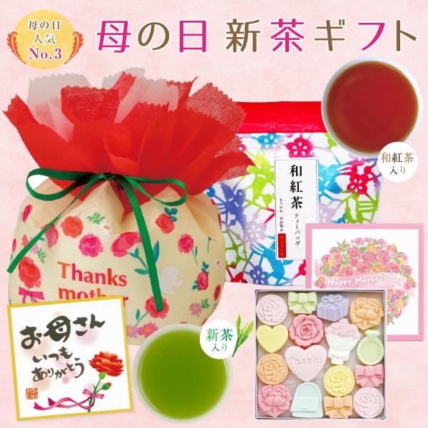 お手頃 母の日カーネーション巾着入セット