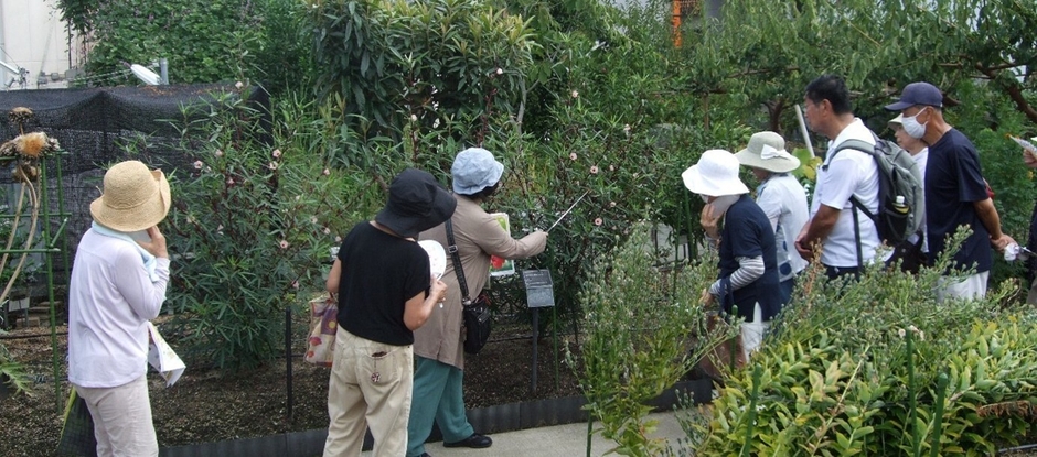 令和6年（2024年）9月に実施した薬用植物園見学会の様子