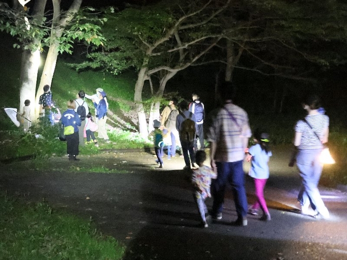 夜の生き物をさがしに行こう！