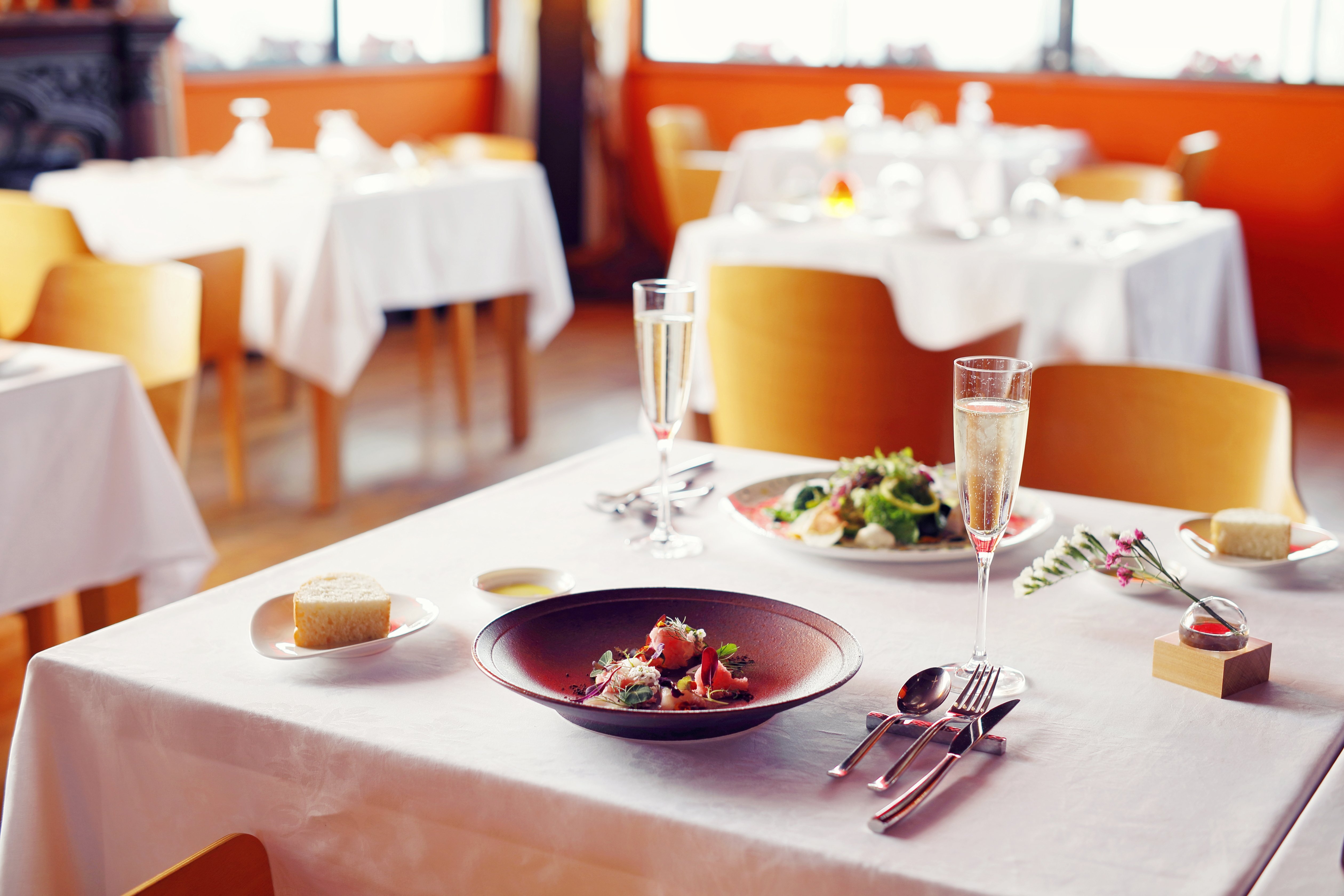 音楽家によるスペシャルコンサートと本格イタリアンコース料理の饗宴 淡路島の複合観光施設「のじまスコーラ」 『Bella Notte』 4 月 24 日 開催