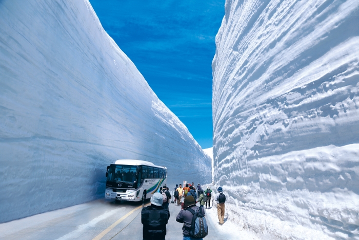 高さ20mにも迫る雪の大谷