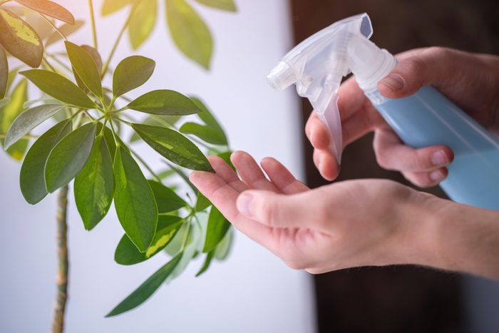 管理サポート付き観葉植物を提供開始