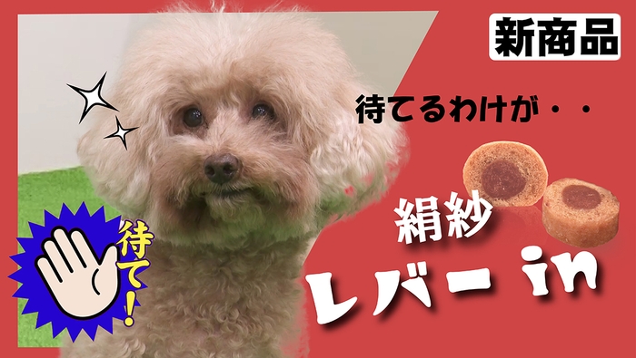 絹紗レバーin 動画