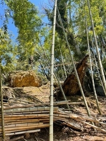 京都華厳寺 鈴虫寺(6)
