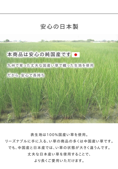 純国産い草の説明