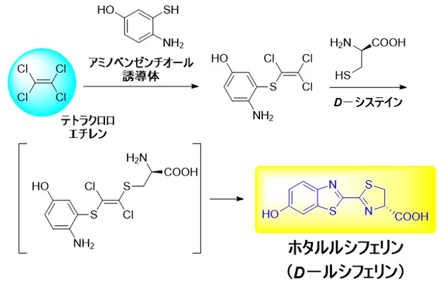 図2 今回開発したテトラクロロエチレンを原料とするホタルルシフェリンの合成方法