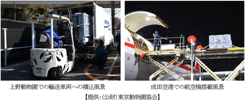 恩賜上野動物園から中国・四川省成都へ シャオシャオ・レイレイの 中国返還をサポートしました。