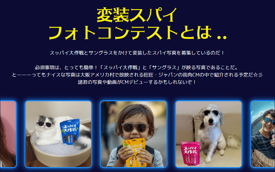 「スッパイ大作戦」変装スパイフォトコンテストとは