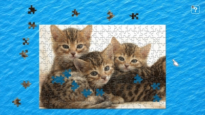 子猫4