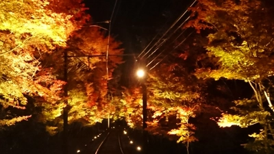 ～ 秋の夜空を彩る紅葉のライトアップ ～ 「もみじのトンネル」・二ノ瀬駅・貴船口駅の 紅葉ライトアップ期間を延長します