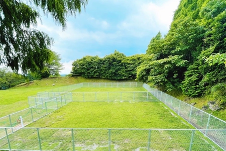 宮崎県小林市に新しいDOGの聖地 「生駒高原ドッグラン」が7月23日オープン　 ～花と自然に囲まれた開放感あるドッグラン施設～